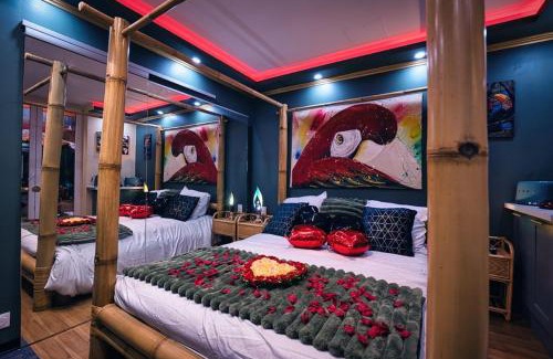 Saint Nicolas - Charles III - Ville vieille - Trois Maisons - Leopold Apartment | Le Petit Sensual Bali Spa Option 300m Place Stanislas