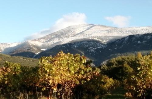Malaucene Apartment | LE PETIT VENTOUX VILLAGE