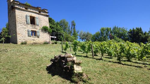 Caylus House | Le pigeonnier de felines