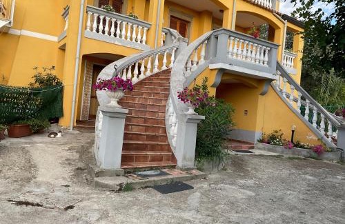 Paola House | Le Querce 2