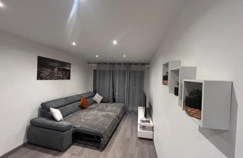 Chalon-sur-Saone Apartment | Le Reflet Gris