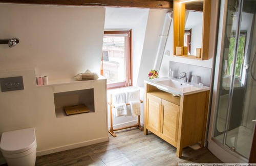 Colmar Centre Ville Apartment | le repere des cigognes with access to lounge