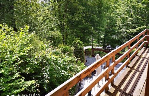 Vresse-sur-Semois Apartment | Le Rouge Gorge Curieux
