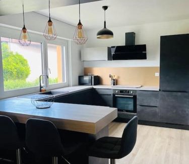 Thonon-les-Bains Apartment | Le Saule