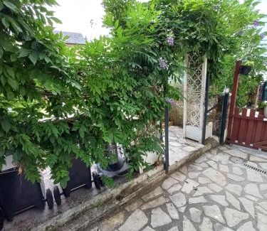 Lillebonne House | Le secret de la Glycine