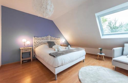 Haguenau Apartment | Le Serenity - Maison proche Gare