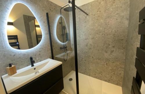 Guilhemery Apartment | Le Solférino toulouse centre
