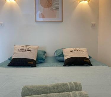 Guilhemery Apartment | Le Solférino toulouse centre