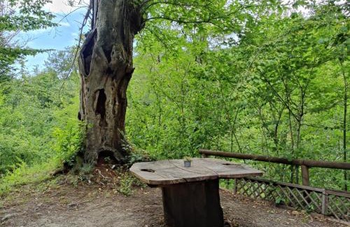 Palazzuolo sul Senio Other | Le sorgenti - Bungalow in sasso