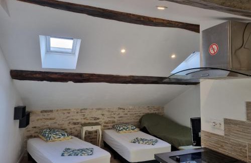 Tournus Apartment | Le Studio du Docteur Privey - Free & secure Park Bike -3mn Autoroute
