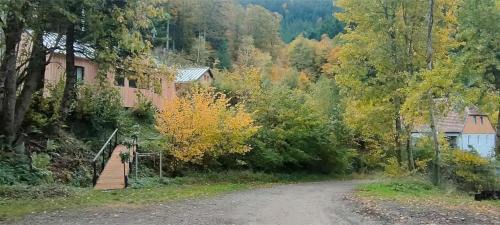 Sainte-Marie-aux-Mines Apartment | Le Zillhardthof