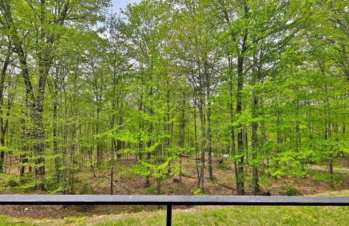 Plymouth Apartment | Ledges 19 at Hawk Mountain