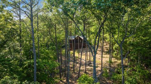 Cherry Log House | Lees Lookout - Pet Friendly with Mountain Views - Open Floor Plan, Vaulted Ceilings, Hot Tub, Pet Friendly, Outdoor Fire Pit