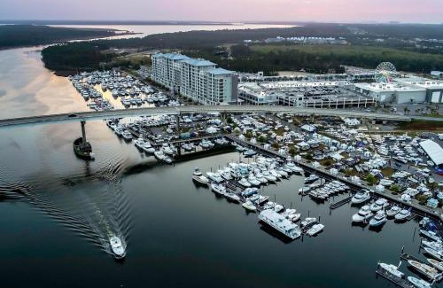Orange Beach East Apartment | Lei Lani Tower 103