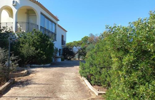 Casaglione House | Lemon