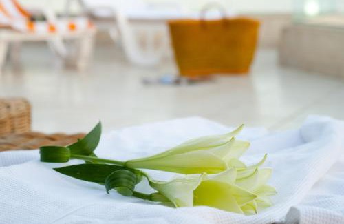 Neve Zohar Hotel | Leonardo Club Hotel Dead Sea - All Inclusive
