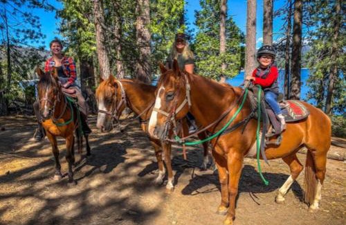 Shaver Lake House | Leopard Lily Lodge Luxe Stays 2 Suites Ac
