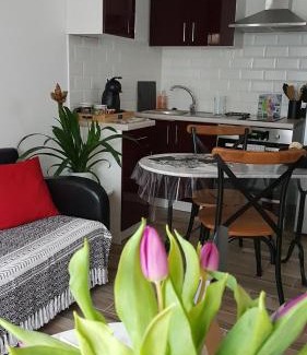 Pessac Apartment | lepetitprince.aquitaine