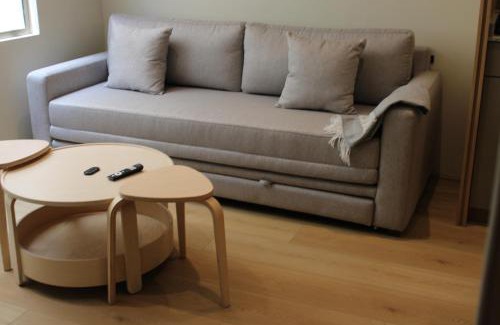 Colonia Cuauhtemoc Apartment | Lerma Dos Seis Cuatro