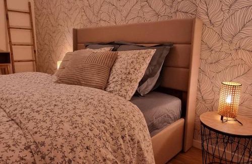 Mulhouse Apartment | Les Alliés
