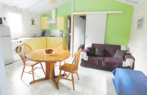 Taller House | Les bambous
