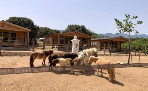 Occhiatana Bed & Breakfast | Les Chalets De Tesa 3