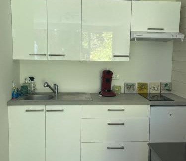 Saint-Remy-les-Chevreuse Apartment | Les grands sapins