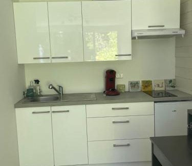 Saint-Remy-les-Chevreuse Apartment | Les grands sapins