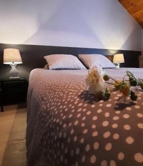Nisramont House | Les Grands Chais