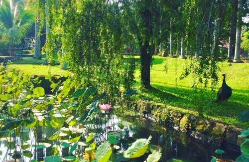 Cu Chi Hotel | Les Hameaux de l'Orient