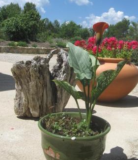 Tourves Bed & Breakfast | Les Hauts des Materonnes