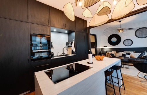 Annecy Old Town Apartment | Les Ilots - Joseph Blanc: apartment 2 rooms on the lake, wifi & balcony