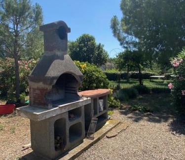 Montagnac Apartment | Les Oliviers