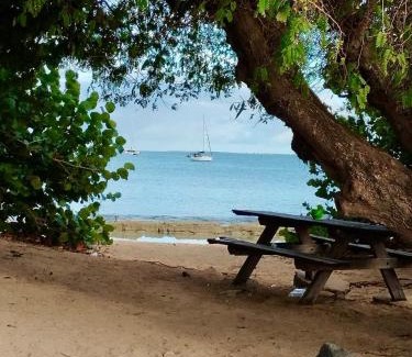 Marigot Apartment | Les Paletuviers