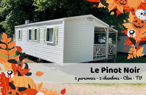 Boofzheim Bed & Breakfast | Les Pinots d'Alsace - 3 bungalows climatisés avec TV - Proche Europa Park
