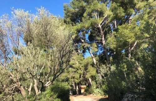 Le Castellet Apartment | LES PINS