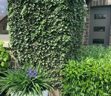 Walk Apartment | Les Rhododendrons