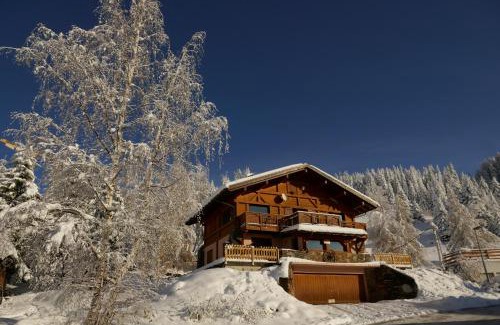 Les Saisies Apartment | Les Saisies côté Bisanne appartement dans chalet LE Népal