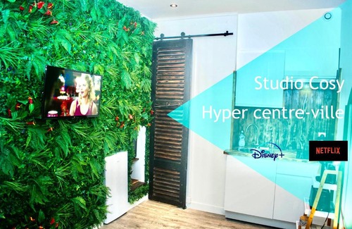 Centre Ville Apartment | Les studios de l'hyper centre ville