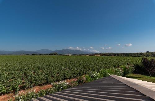 Tallone Apartment | Les Terres Rouges