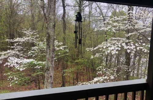Cosby Cabin | Less than 30 mins to Gatlinburg! Enjoy more nature and less traffic and crowds!