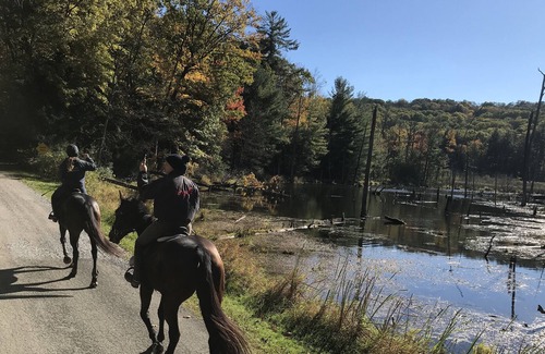 Portage Bed & Breakfast | Letchworth Farm