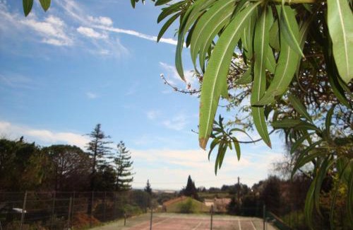 Leucate Apartment | Leucate,cadre arboré,ombragé,sous les cyprès