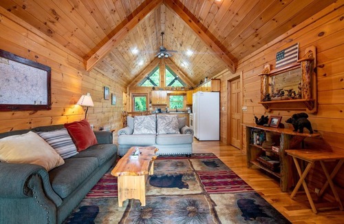 Mineral Bluff Cabin | License 2 Chill - Mineral Bluff, GA