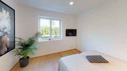 Neusiedl am See Apartment | Lieblingsplatz Neusiedl Appartement - Entspann dich