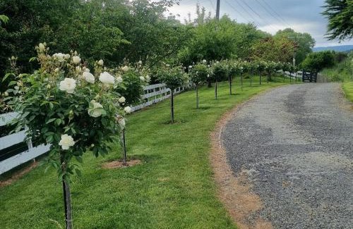 Rangitikei House | Lifestyle block Entire House