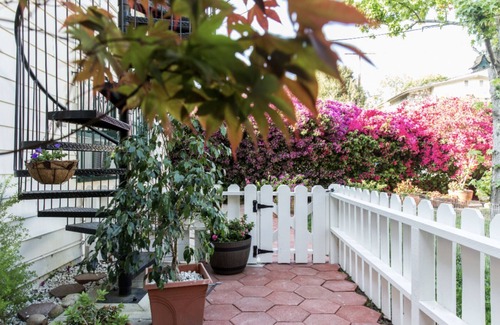 Greater Wilshire - Hancock Park Apartment | Light, Airy, Upstairs Large Single in Prime Los Angeles Location!