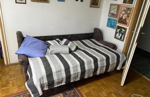 Cluj-Napoca Apartment | Lily Centru