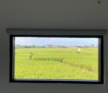Kediri House | Lily house kedungu