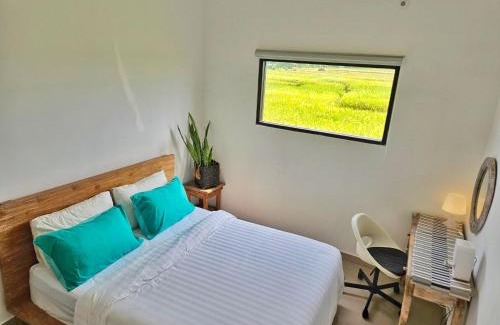 Kediri House | Lily house kedungu